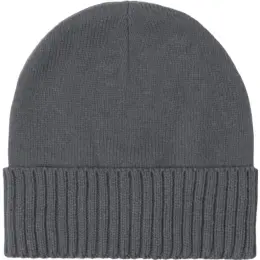FWRD Summit Beanie Charcoal